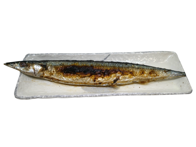 塩焼秋刀魚